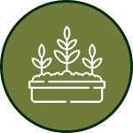 Landscape Bed Maintanance