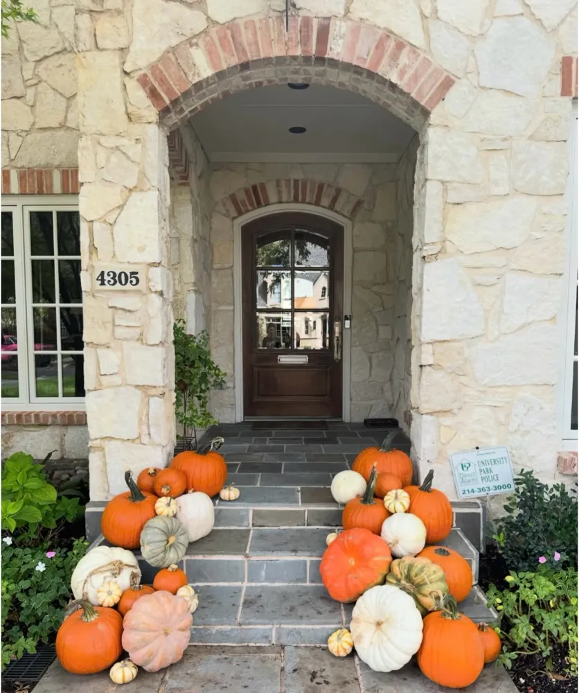 Pee-Wee Pumpkin Package Image