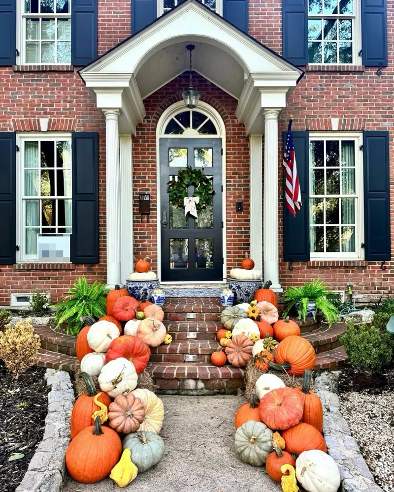 Popular Pumpkin Package Image