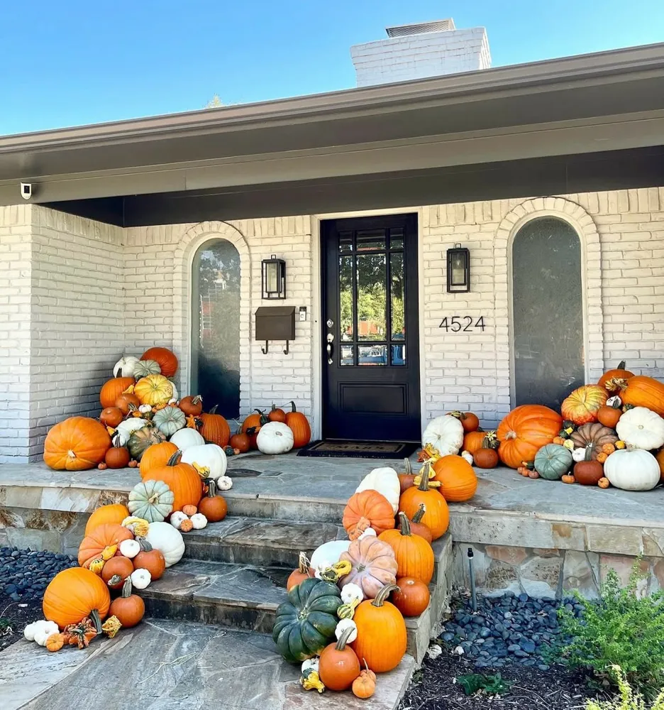 Prince Royal Pumpkin Package Image