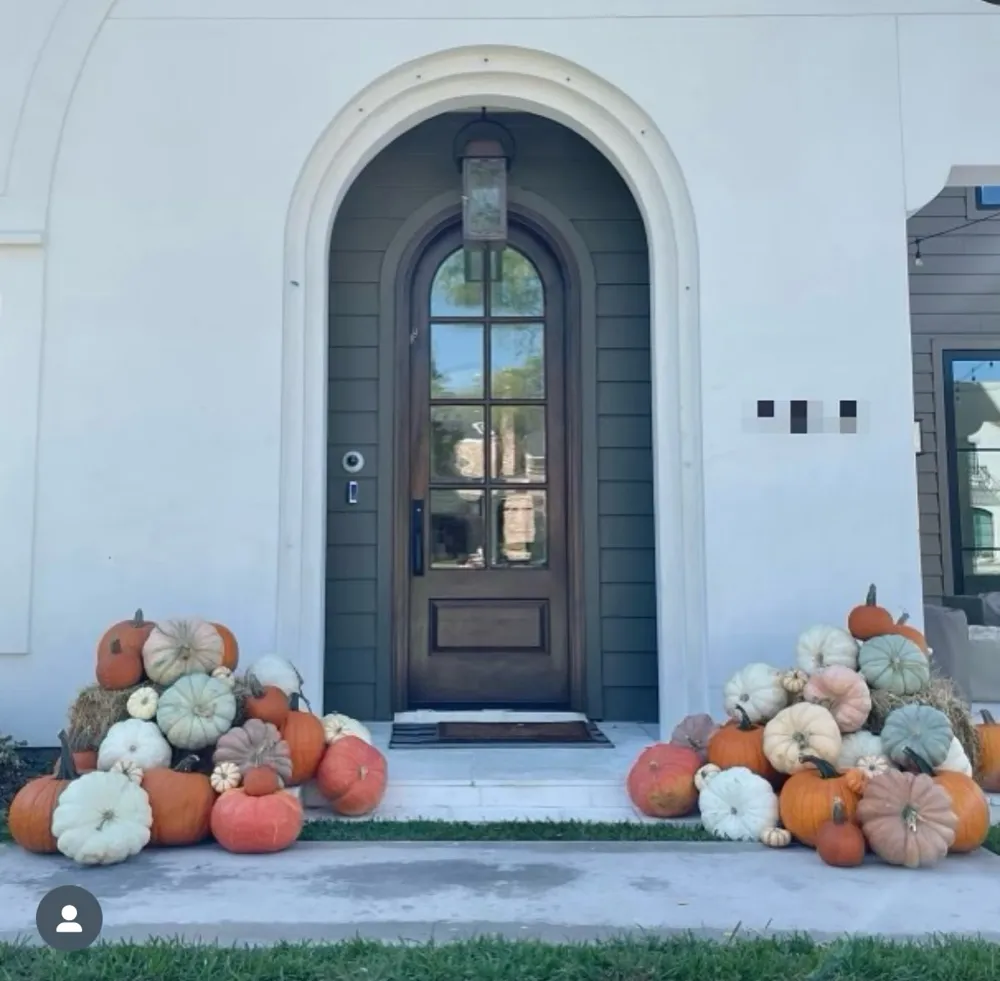 Princess Pumpkin Package Image