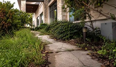 Hidden Risks of Poor Landscaping Maintenance