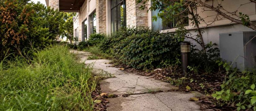 Hidden Risks of Poor Landscaping Maintenance